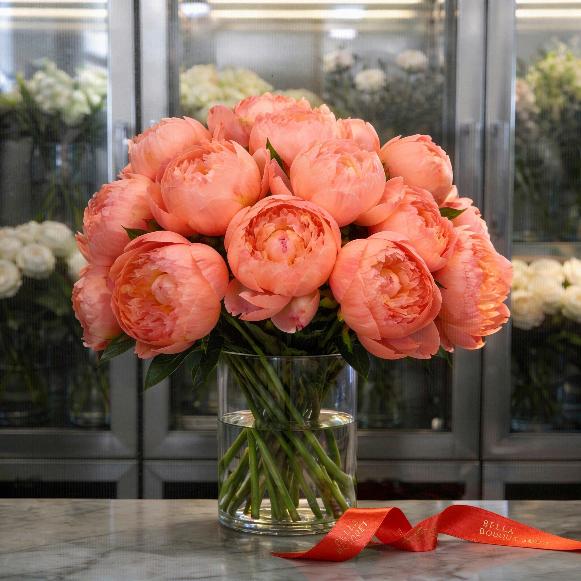 Şakayık | Işıkcan Flora Shop